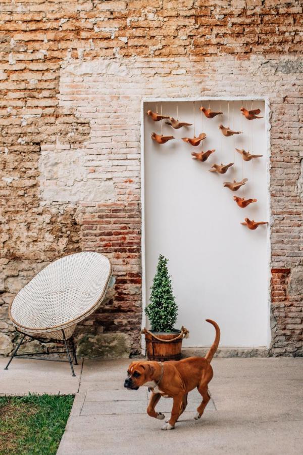 Hotel Tabaa Oaxaca ภายนอก รูปภาพ